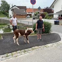 tierrettung_3.jpg