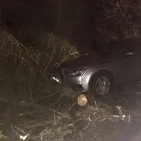 einsatz_baum_20180118_3.jpg