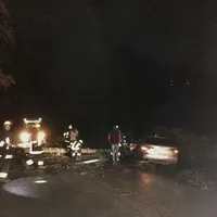 einsatz_baum_20180118_4.jpg