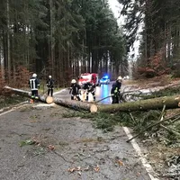 thl_20171214_6.jpg