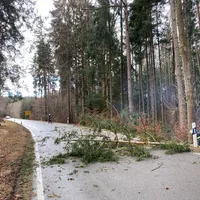 einsatz_baum_richtung_perchting_1.jpg