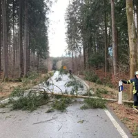 einsatz_baum_richtung_perchting.jpg