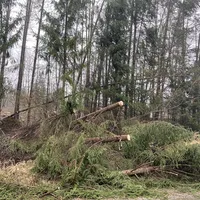 einsatz_sabine_10.jpg