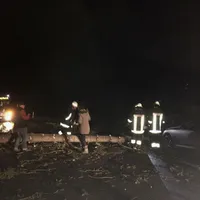 einsatz_baum_20180118_2.jpg