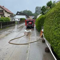 Traubing (5).JPG